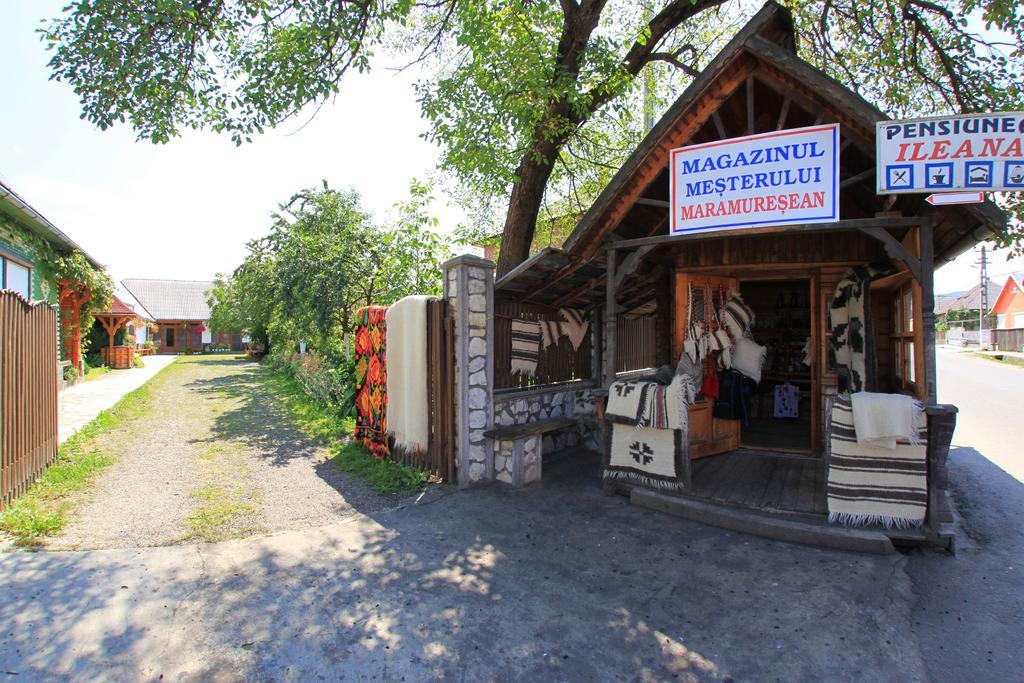 Ileana Sapanta Săpânța Exterior photo