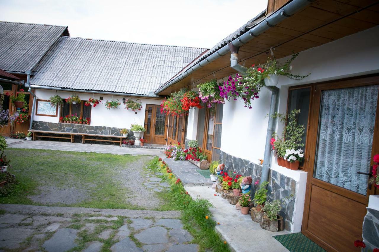 Ileana Sapanta Săpânța Exterior photo